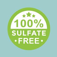 Sarah K Carnival Conditioner - E11 Store